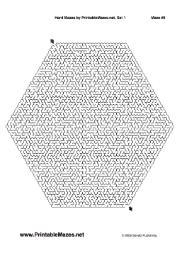 Hard Mazes Set 1 — "Demanding" maze