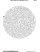 Medium Mazes Set 1 — "Do It in Ink" maze