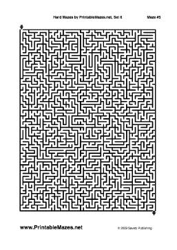 Hard Mazes Set 6 — "No Picnic" maze