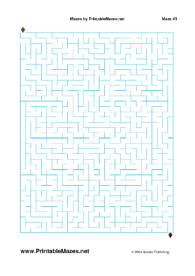 Level Up maze
