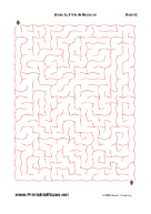 Maze Mayhem maze